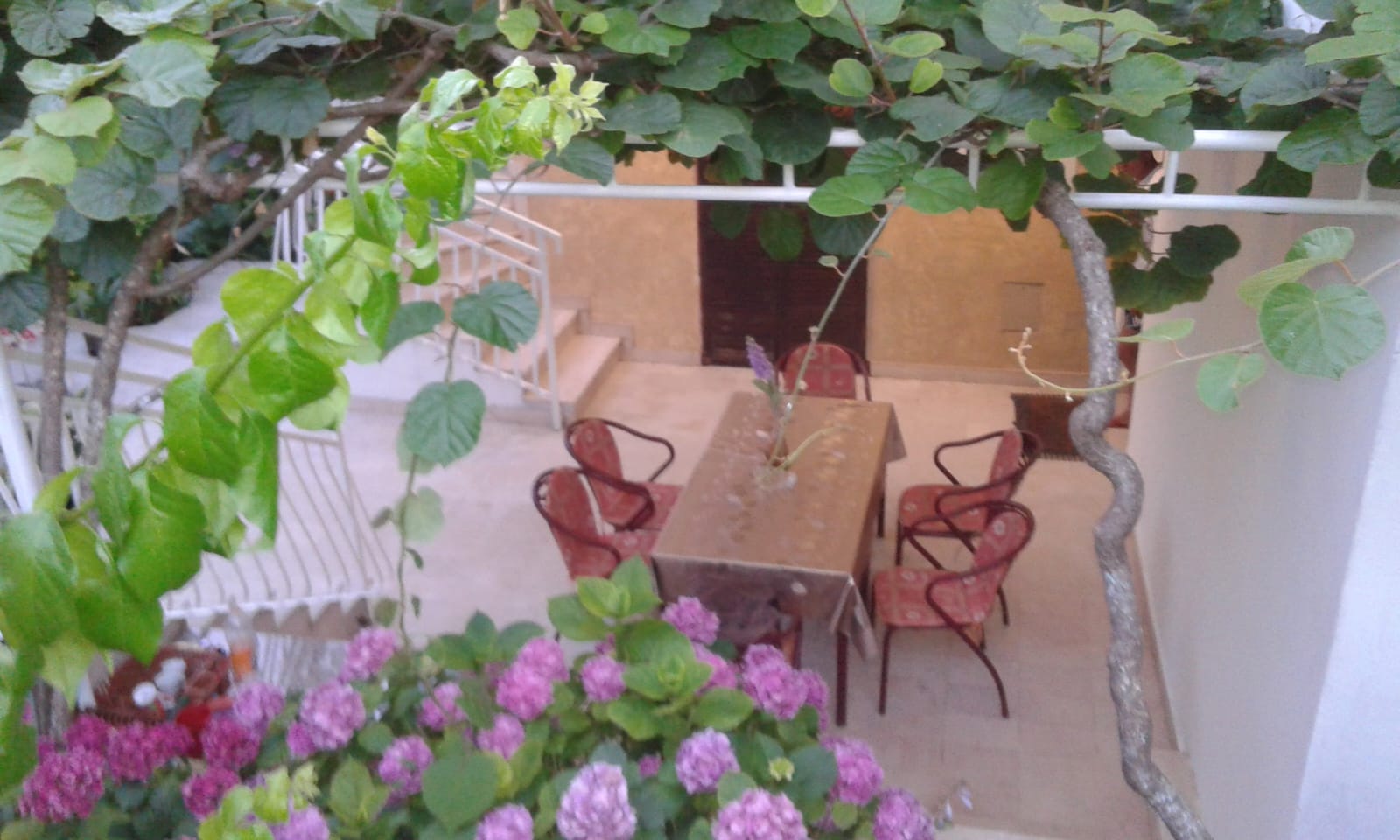 Vila Darinka Herceg Novi